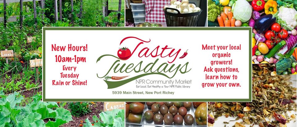 Tasty Tuesday Market New Port Richey